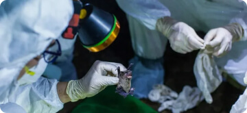 asosiy yangiliklar rasmi