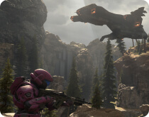 world news first img 